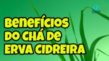 Benefícios do chá de Erva Cidreira | Como Fazer Passo a Passo