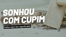 O Que Significa Sonhar Com Cupim