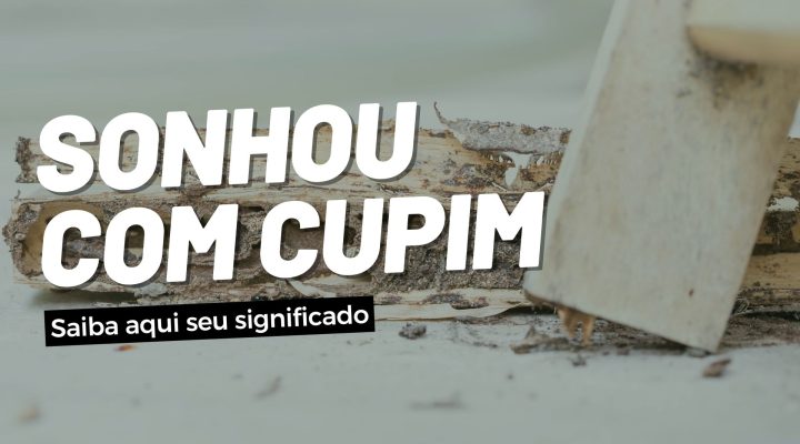 O Que Significa Sonhar Com Cupim