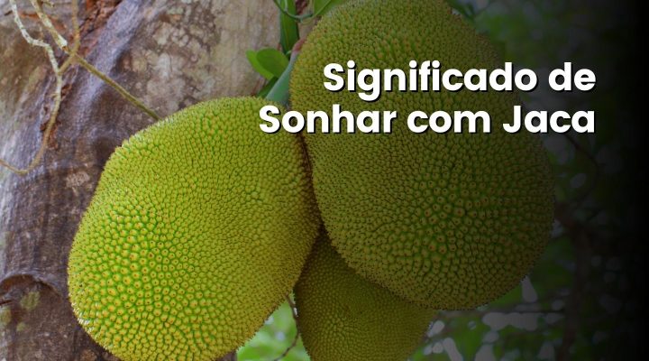 Sonhar Com Jaca: Um guia completo para interpretar o significado desse sonho