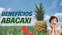 Benefícios do abacaxi: Suco, chá e seus poderes nutricionais