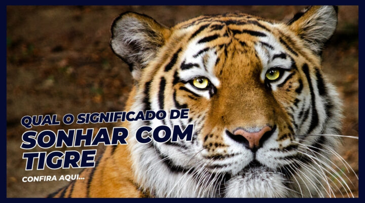 Sonhar com Tigre: Desvendamos os Mistérios por Trás desse Sonho Intrigante!