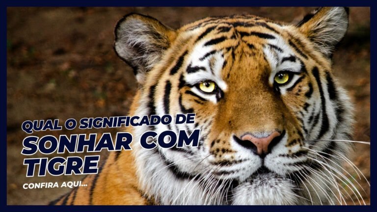 Sonhar com Tigre